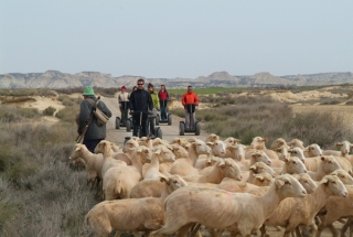  巴德纳斯的传统与现代。 